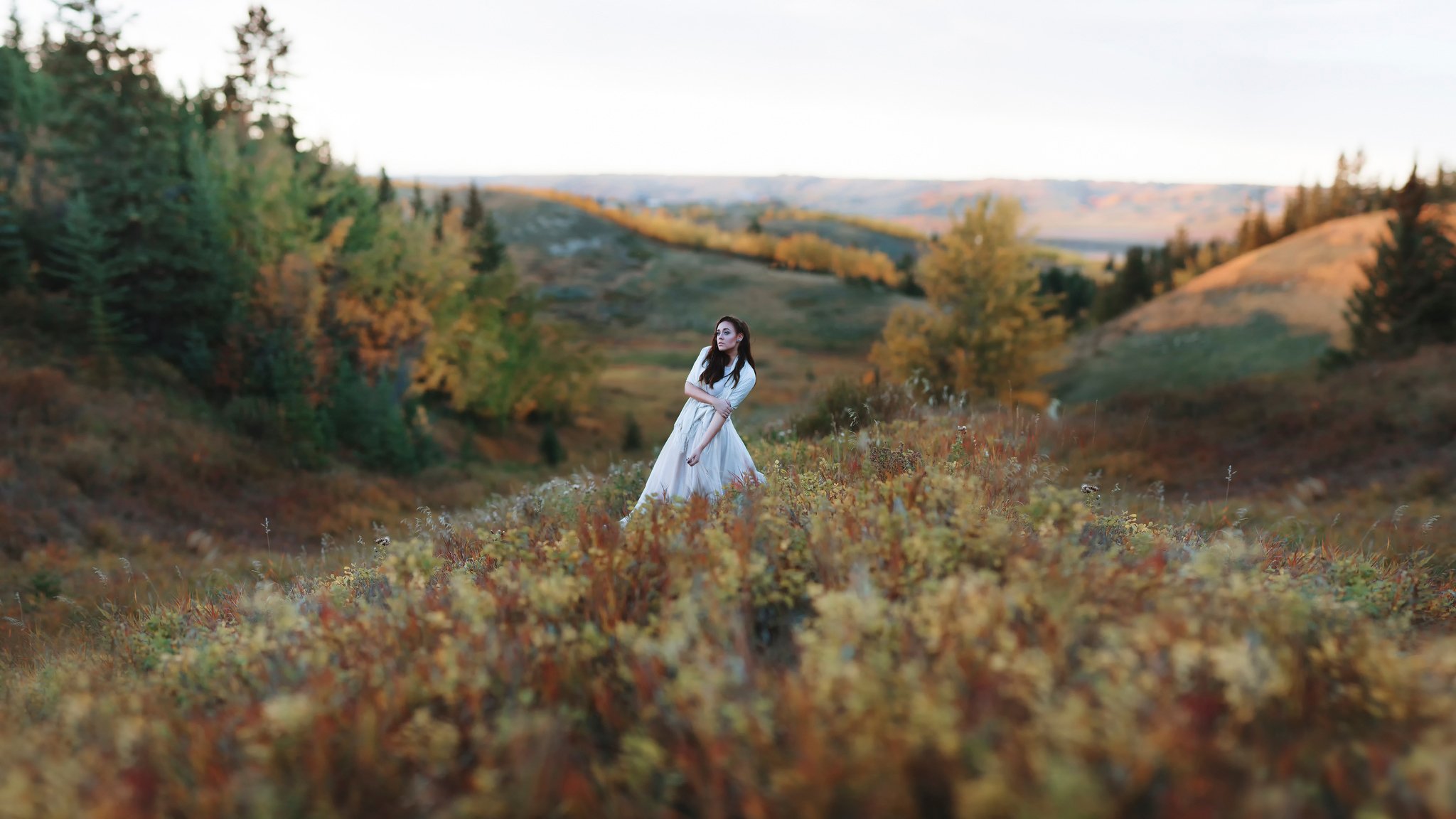 bokeh grass tree hills girl