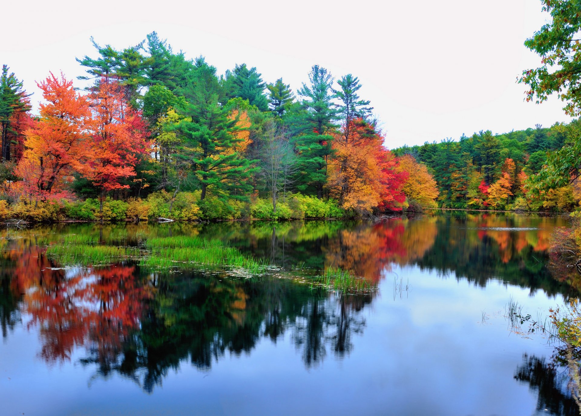 cielo lago acqua riflessione foresta alberi fiume autunno