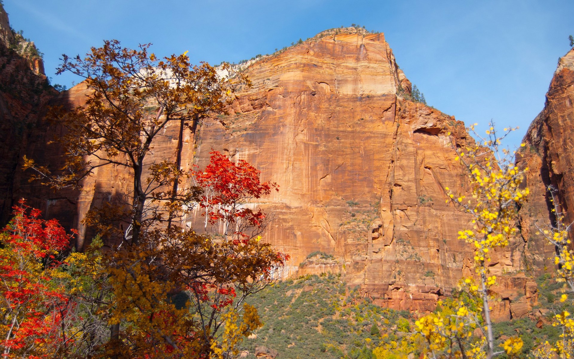 ciel montagne rocher arbres feuilles automne