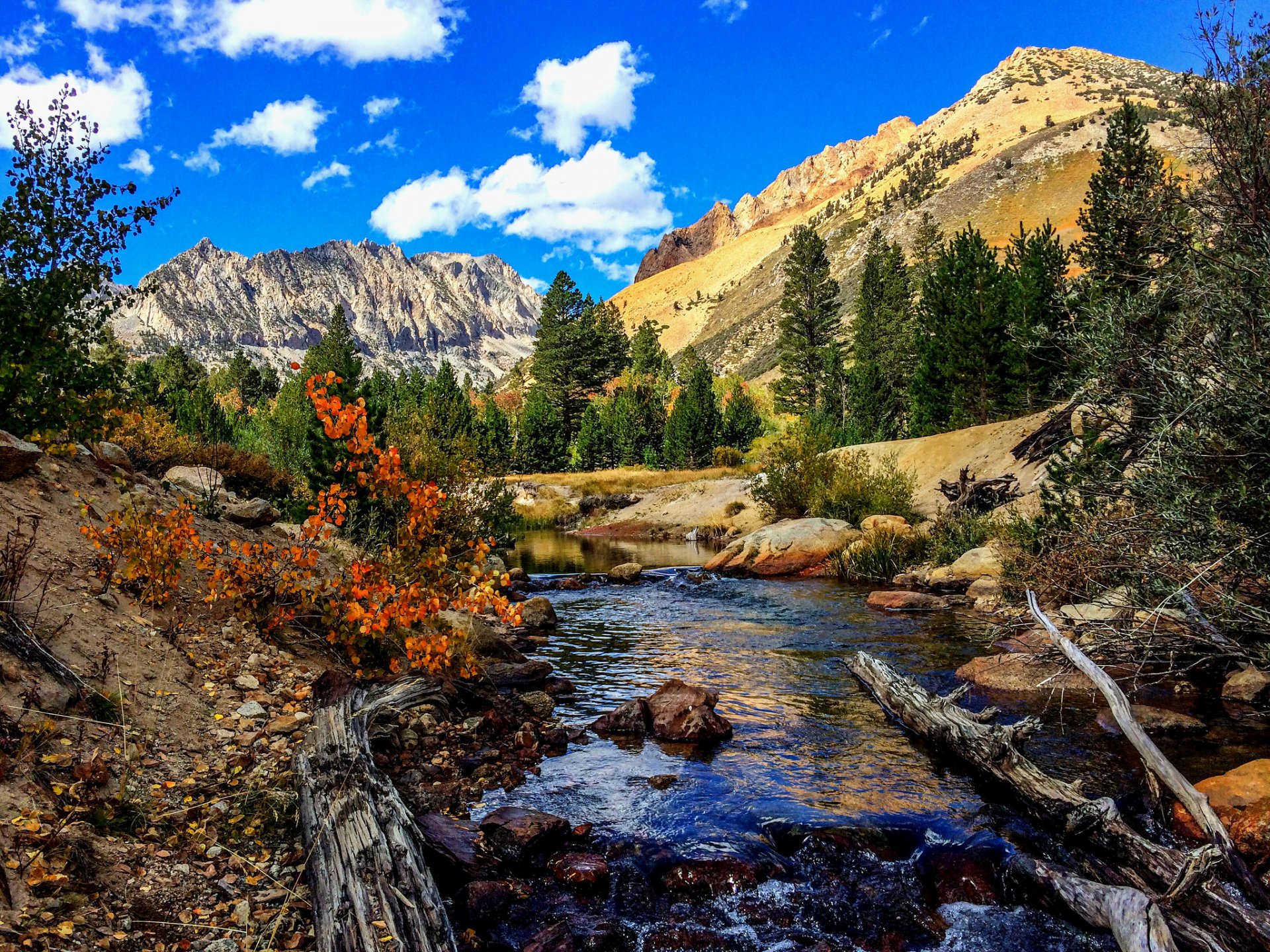 cielo nuvole montagne alberi fiume legni autunno