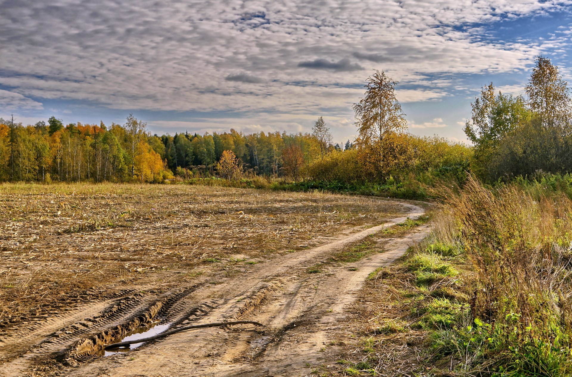 straße herbst landschaft feld