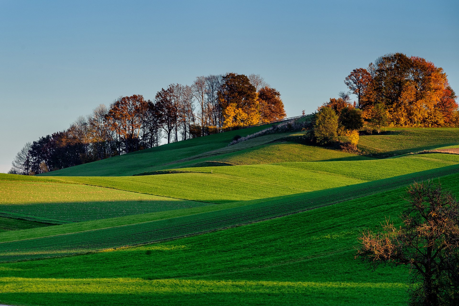 himmel sonnenuntergang hügel gras feld bäume schatten