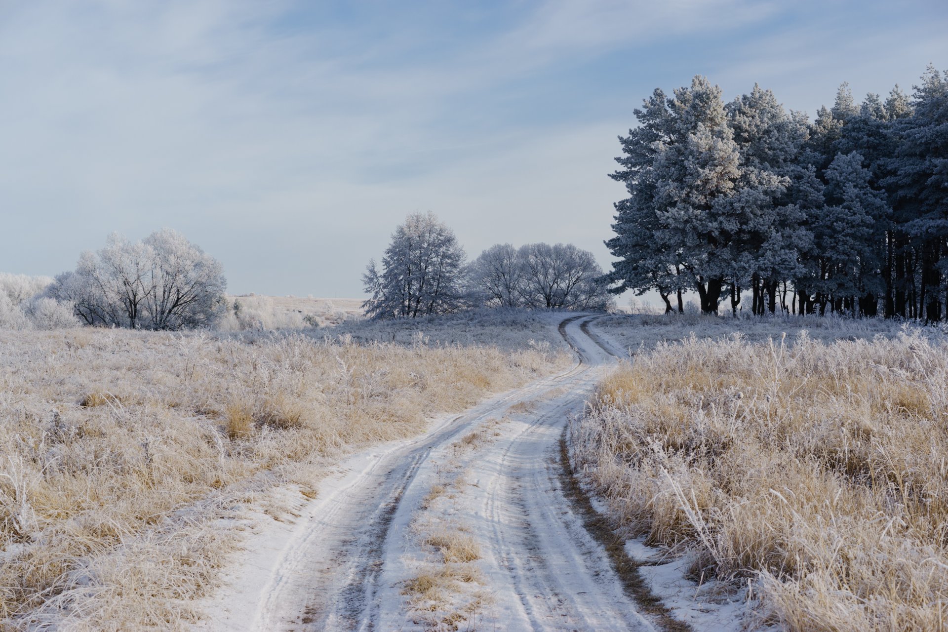 strada campo gelo inverno