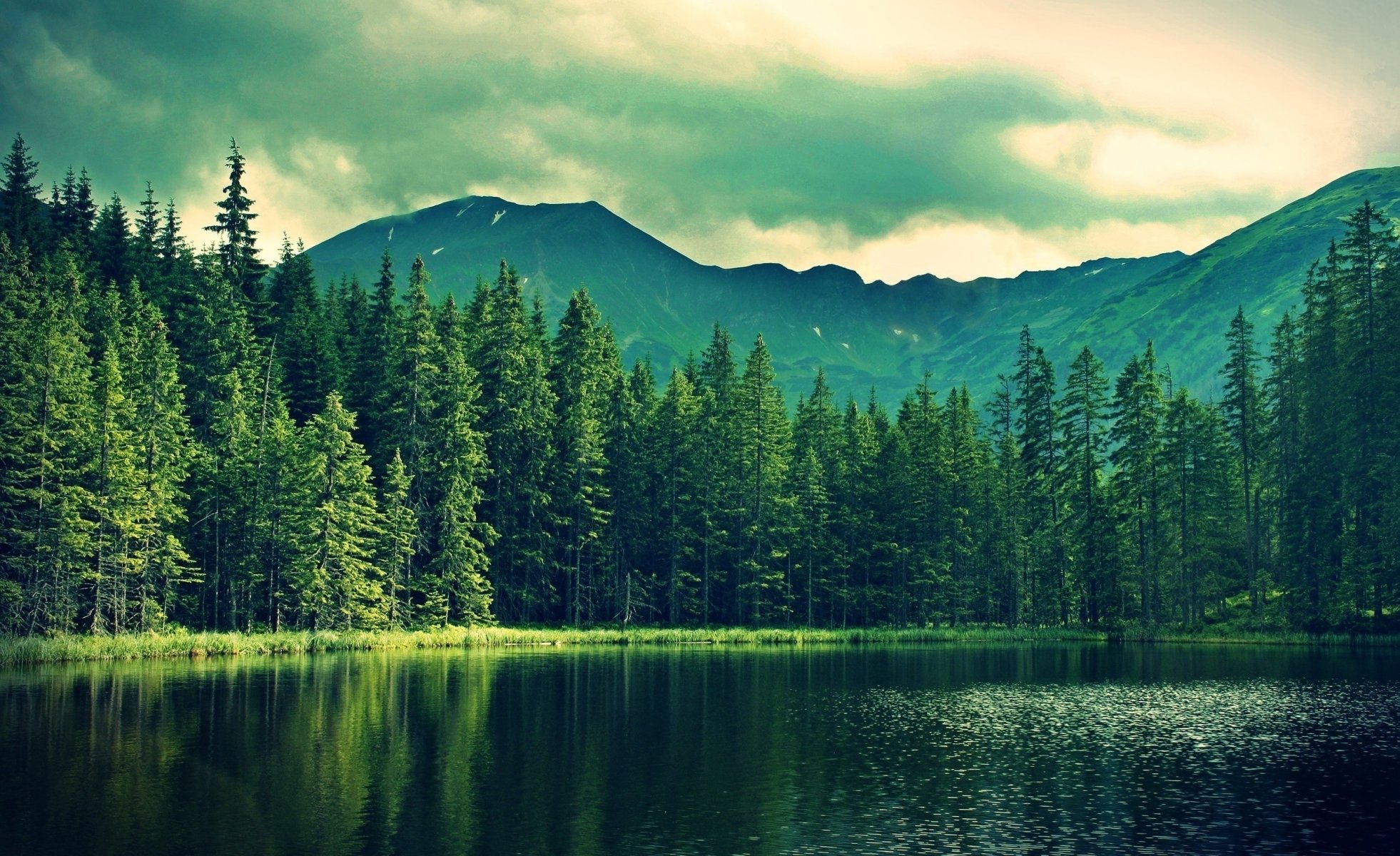 natura foresta montagna lago nuvoloso pesca bello