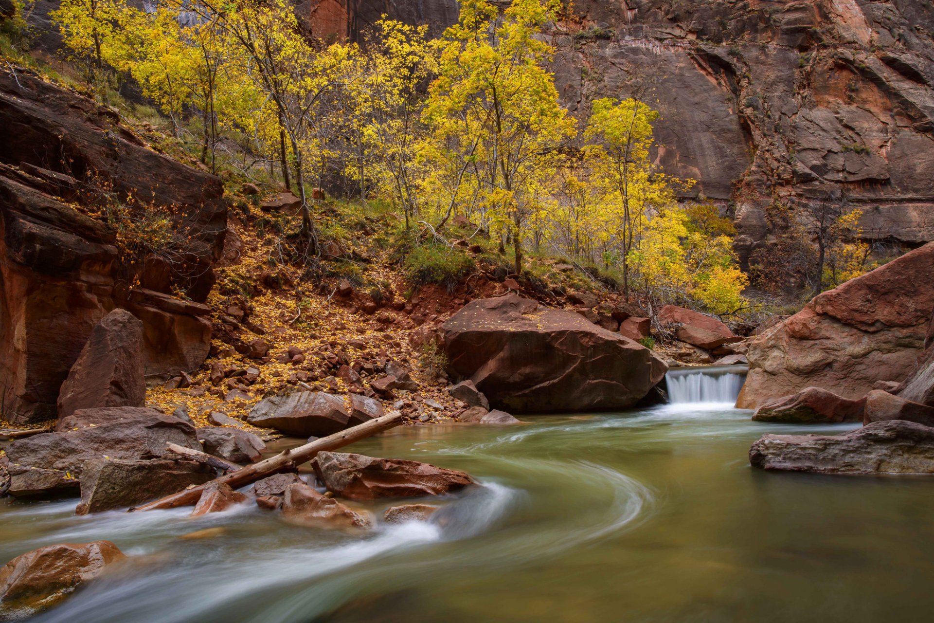 park narodowy zion utah usa skały kanion drzewa rzeka strumień skały