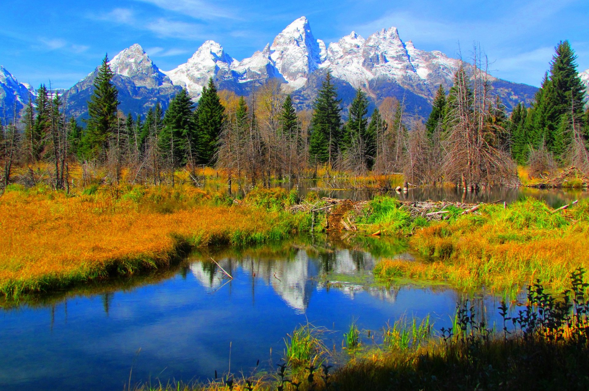 grand teton national park wyoming usa montagna lago riflessione alberi autunno cielo erba neve