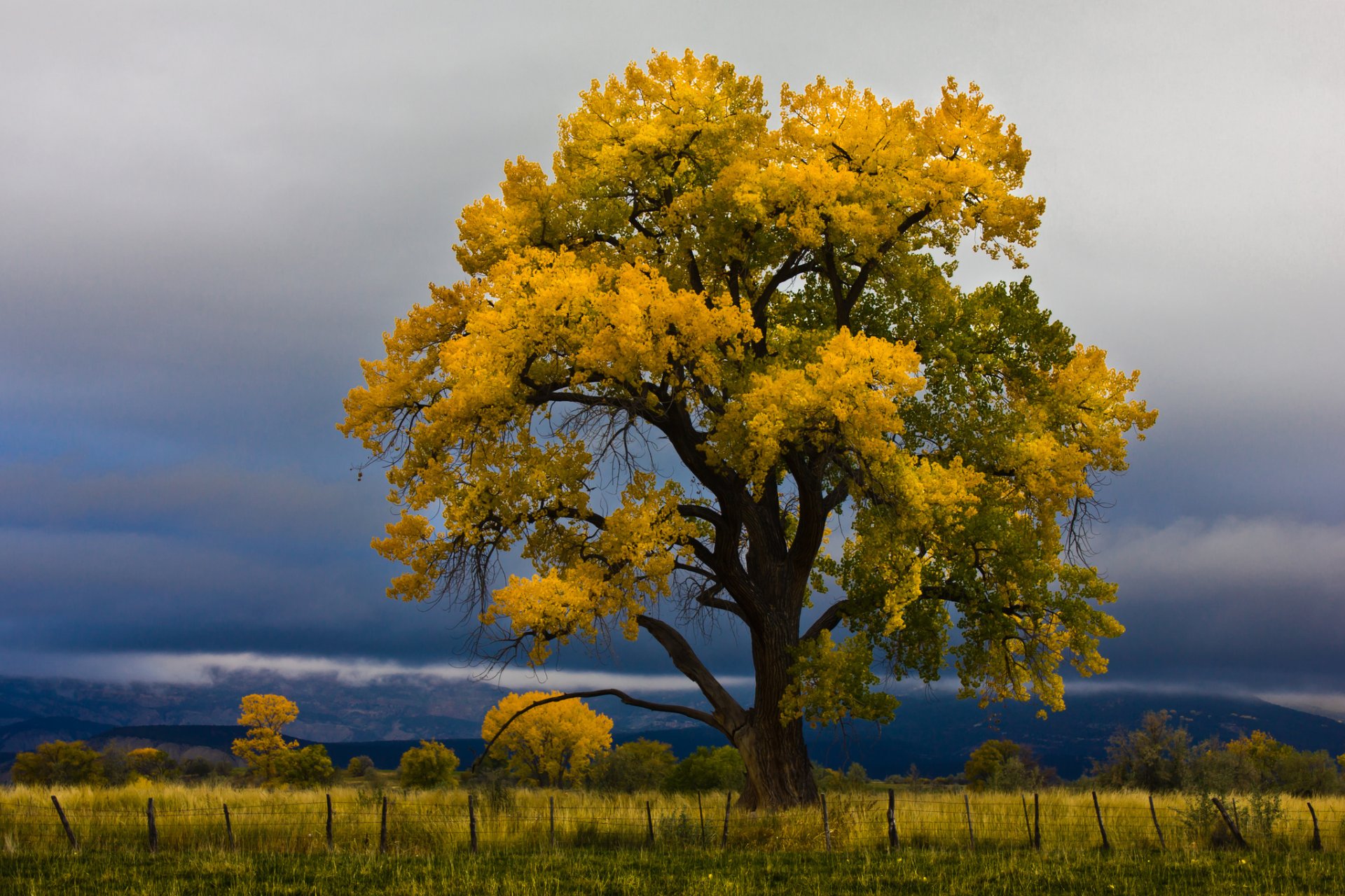 ky clouds the field tree autumn