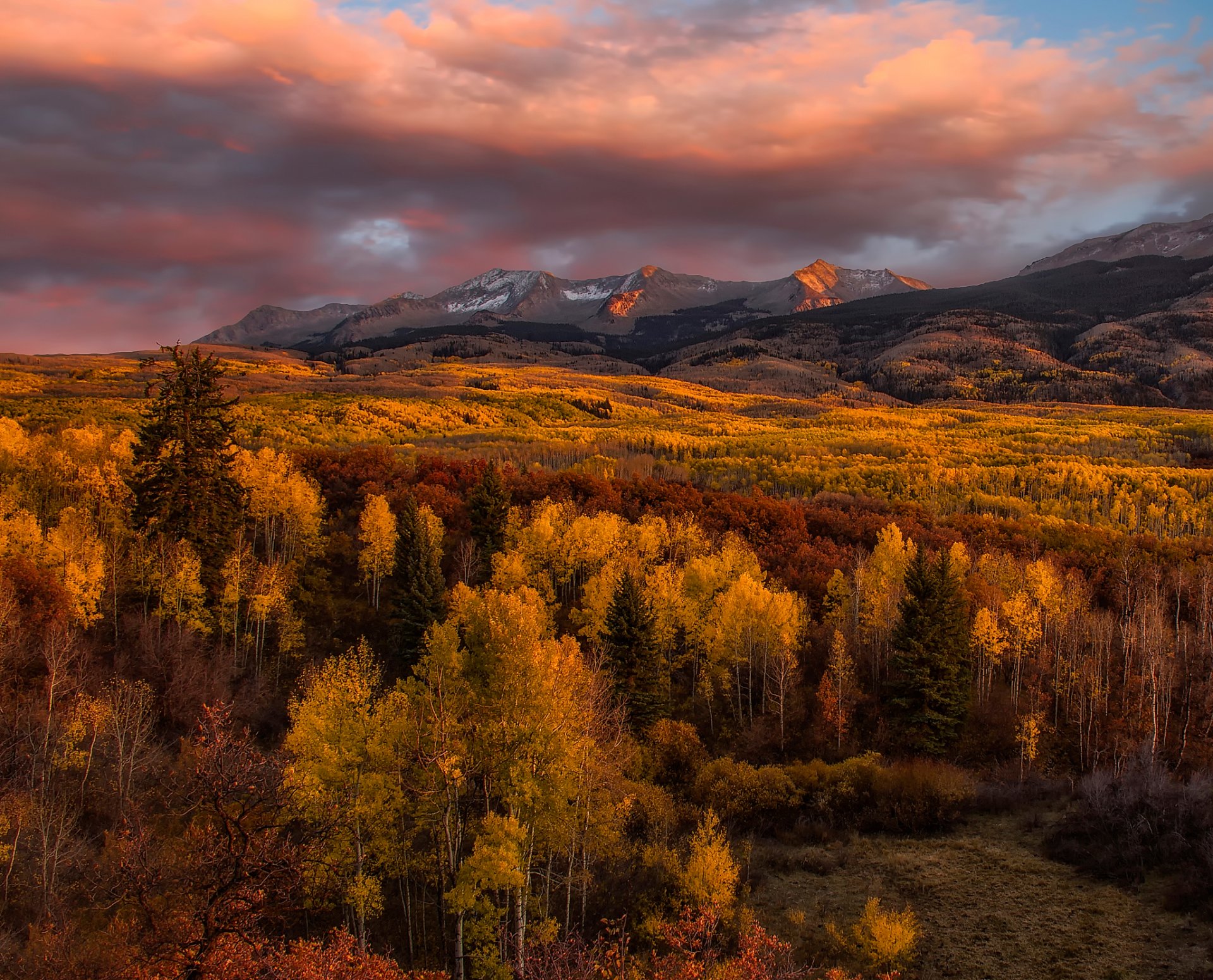 goldene hitze herbst berge bäume