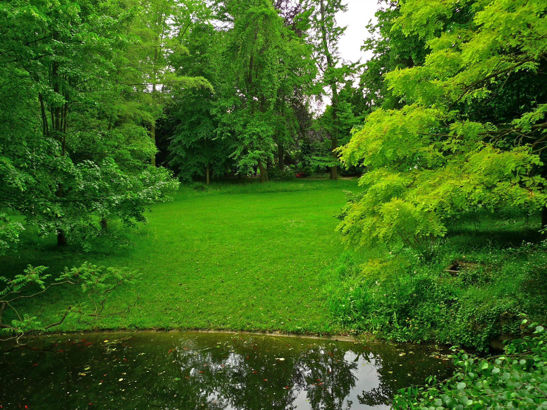 jardin albert-cantal france parc étang herbe arbres pelouse verdure