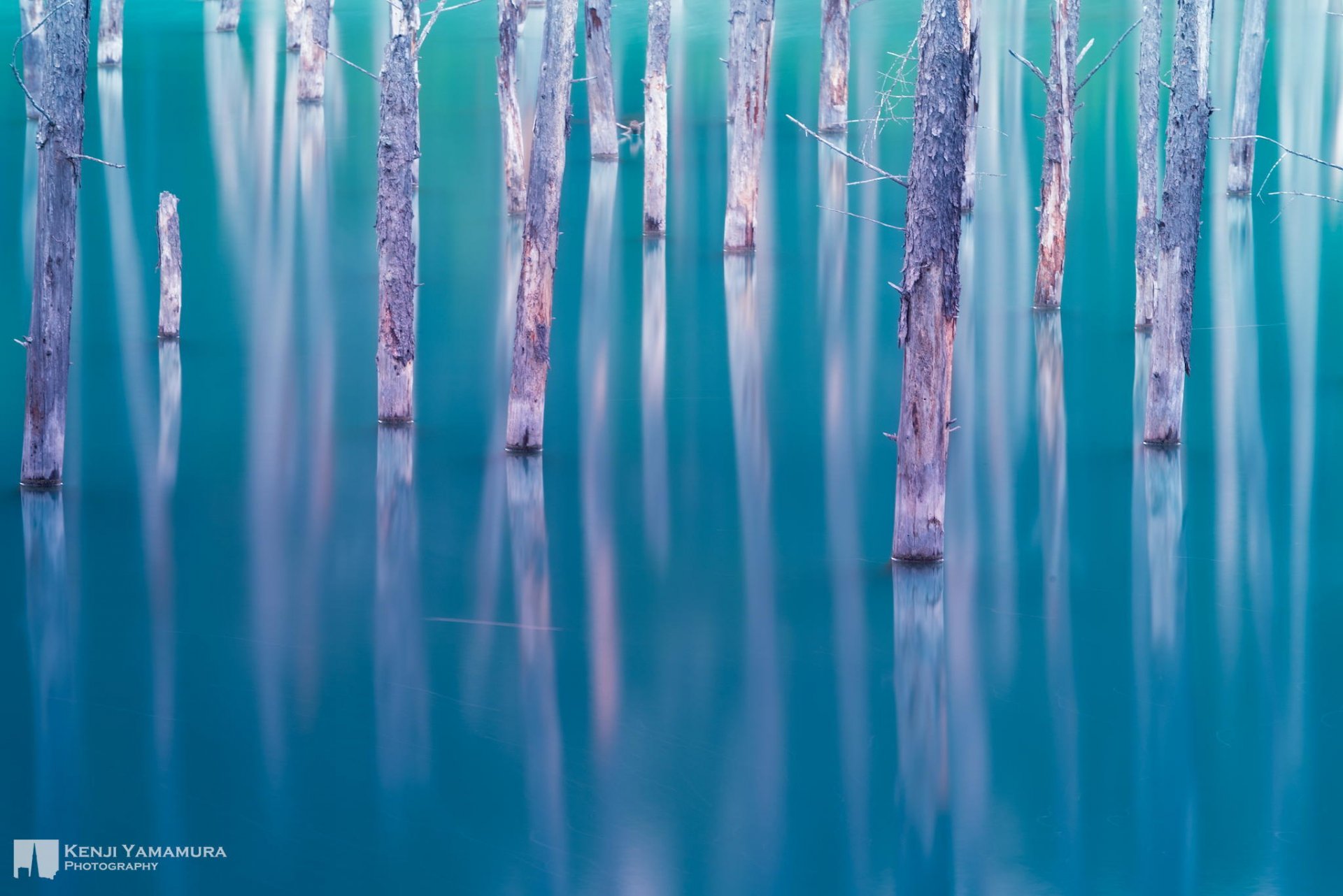 kenji yamamura fotograf jezioro japonia drzewa