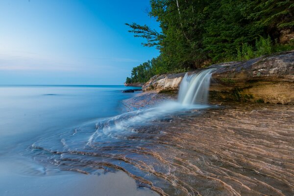 Forest on the rocky shore by the sea