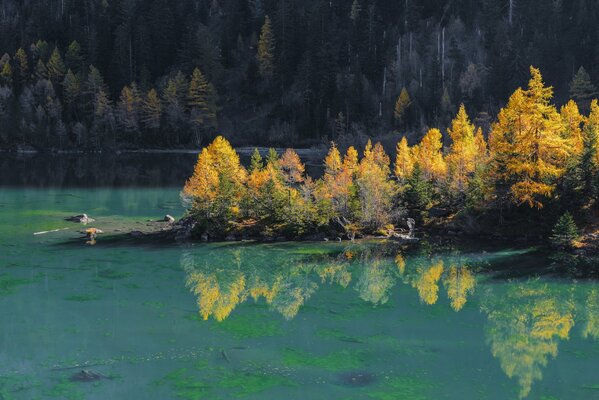 Blue lake with autumn dervets