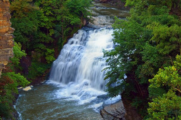 Refrescante cascada de montaña en el bosque