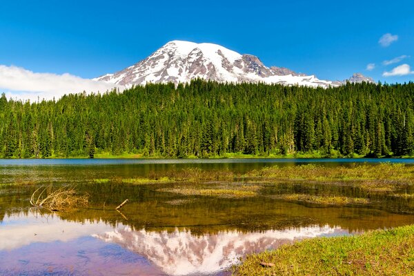 La montagne derrière les arbres se reflète dans le lac