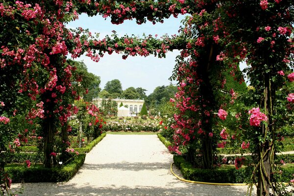 Jardín francés enrejado con rosas