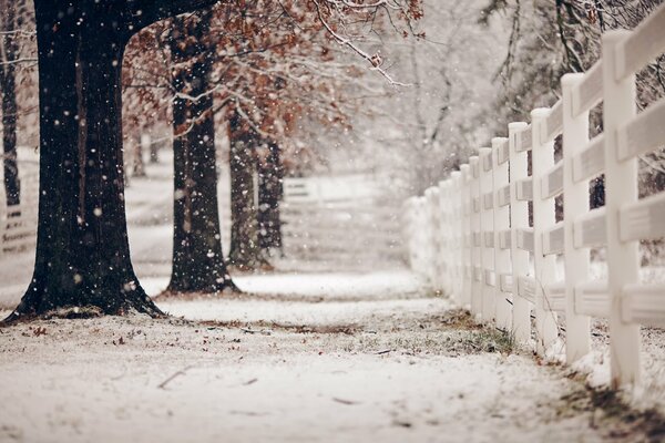 Parque cubierto de nieve con valla blanca