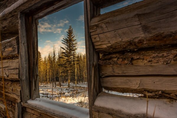 Ventana de madera con acceso al bosque de invierno