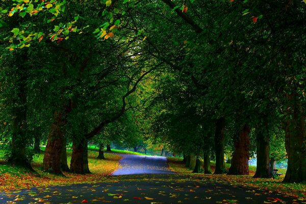 La belleza del parque solo se puede ver mirando hacia atrás