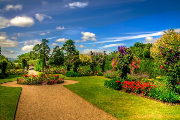 Schottischer Park mit Rasen und Büschen