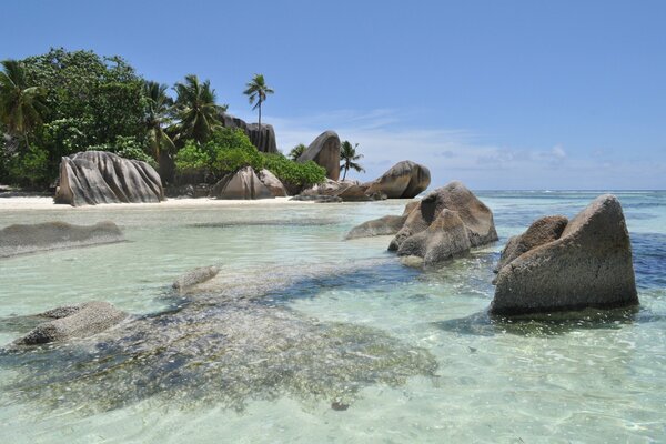 Tropical beach with blue water and palm trees