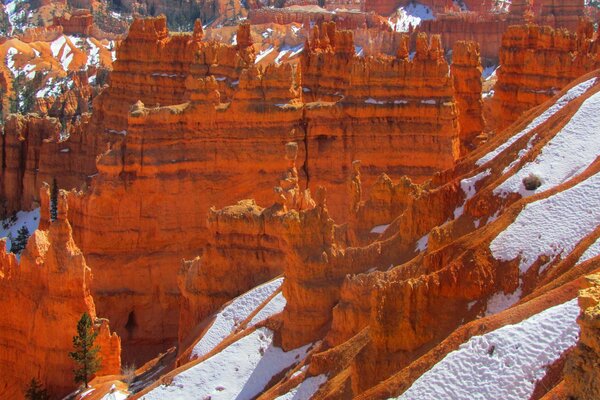 Bryce Canyon dans le parc National aux États-Unis