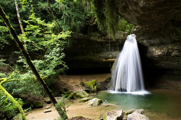 Piccola cascata all ombra nella foresta