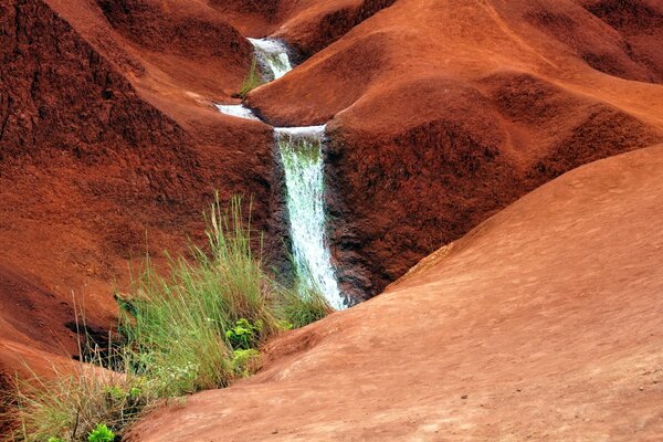 Nature in the mountains is poor. A stream is flowing