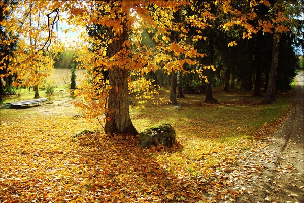 Der goldene Herbst ist gekommen