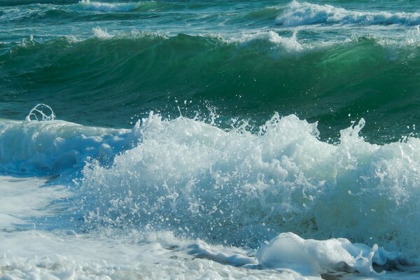 Olas de mar ruidoso