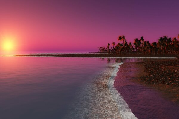 Pink sunset by the sea with palm trees