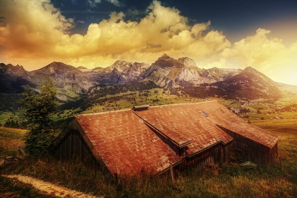 Casa con tetto rosso e alberi