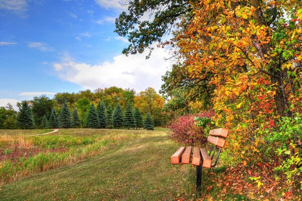 Eine Bank unter dem Gras am Herbstpark