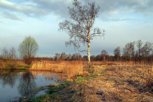 Teich im Herbstwald bei klarem Wetter