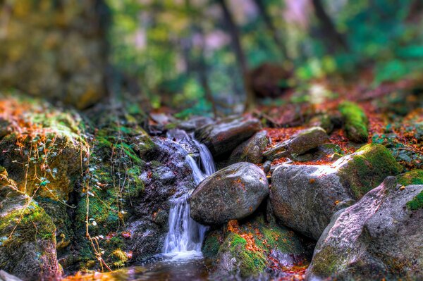 Arroyo corriente por comnas