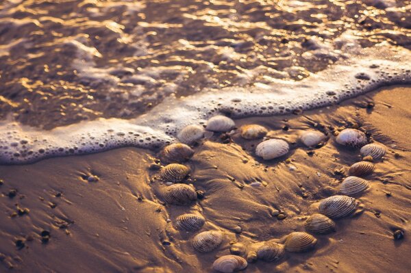 A shell heart on the sand