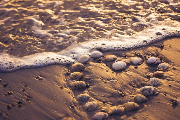 Сердце из ракушек на песке