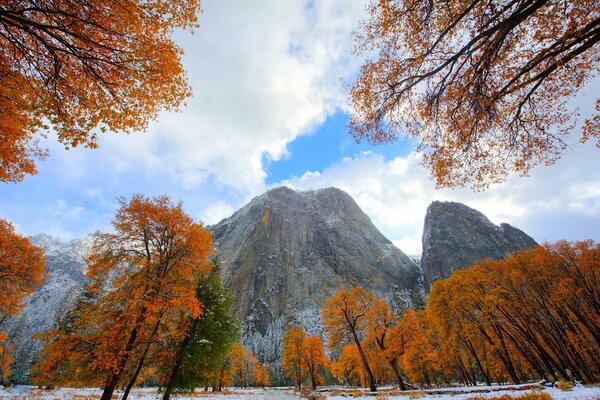 Осенний пейзаж с видом на горы