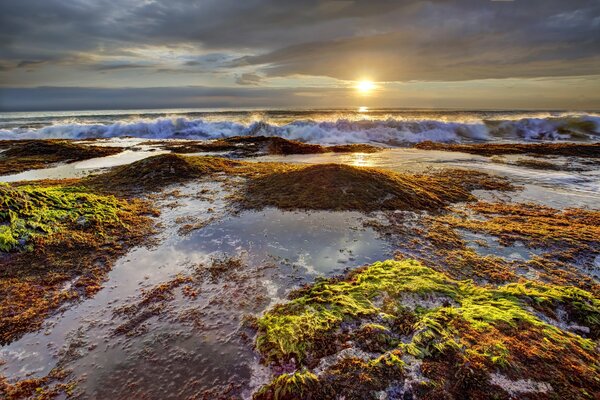Algues dans la mer coucher de soleil avec des vagues qui font rage