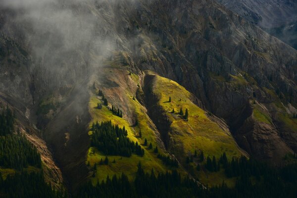 Blick auf die Bäume im Bergland