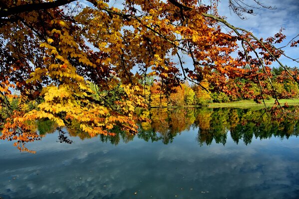 L autunno d oro è arrivato