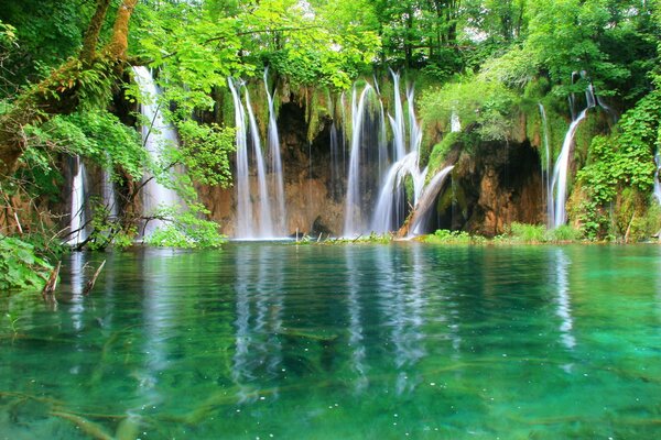 Una cascata ai tropici scorre nel lago