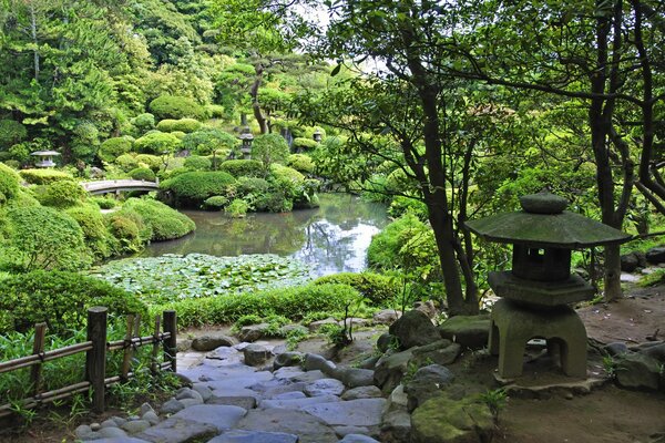 Chemin de pierres sur l étang dans le jardin