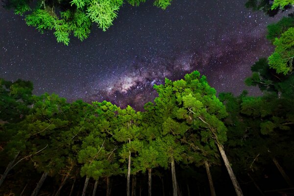 Il cielo notturno è molto bello con le stelle