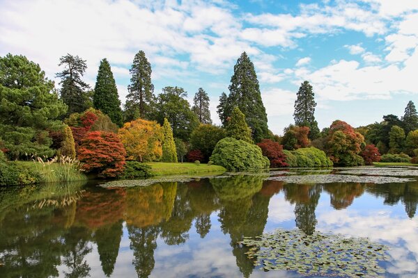 Schöner Herbstpark in der Nähe des Teiches