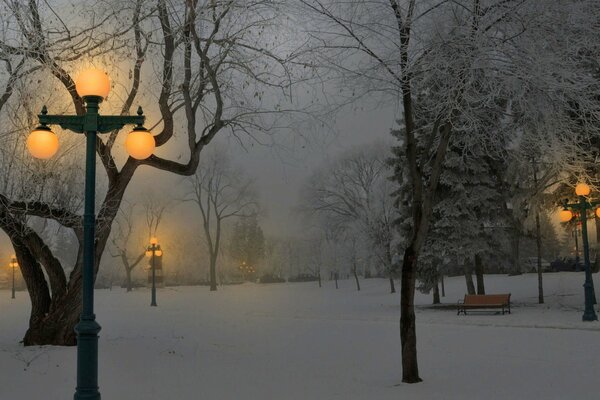 Noche de invierno. Parque de invierno. Poste de alumbrado