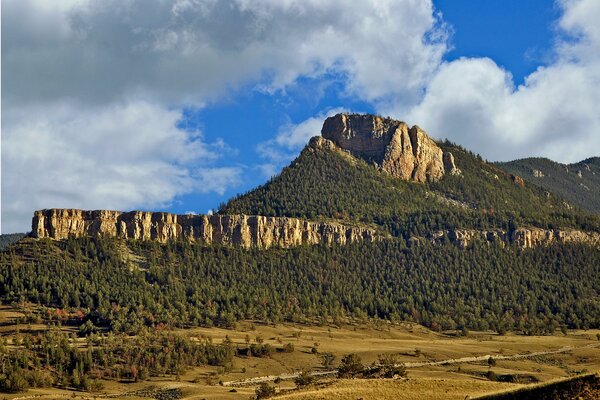 Mountain range in the valley of forests