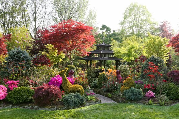 Gazebo a giardino tra piante diverse