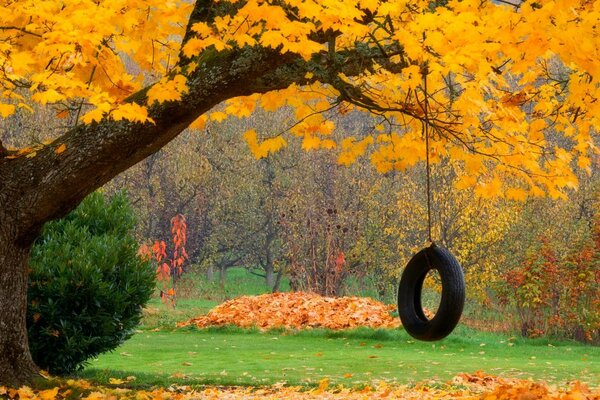 Swing in a colorful autumn forest