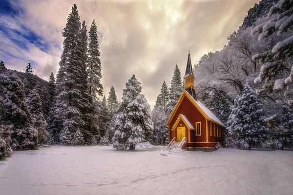 A house in the middle of a winter forest