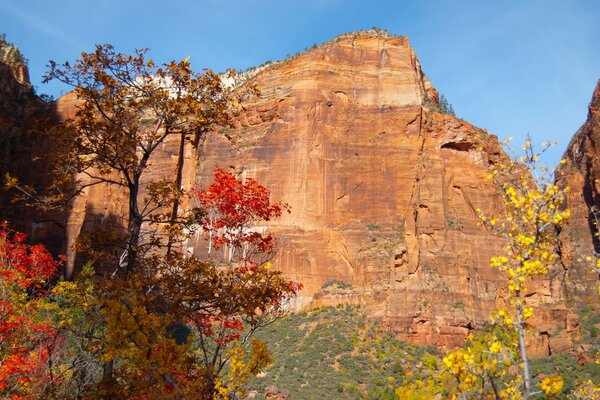 Smooth rock in autumn foliage